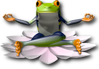 OnionCity Privacy Features